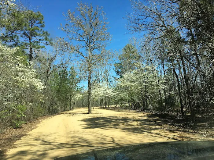 Pine Lake RV Resort Picture 6