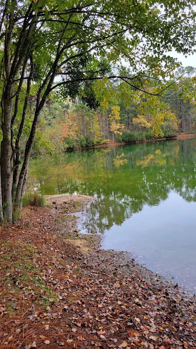 Pine Lake RV Resort Picture 8