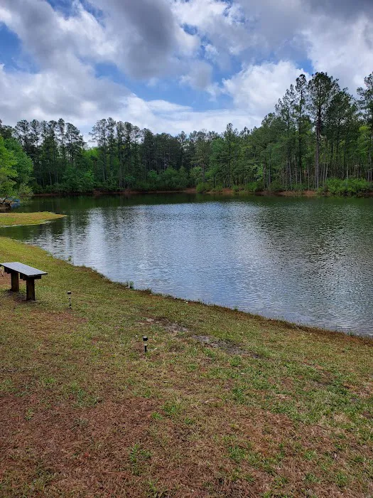 Pine Lake RV Resort Picture 5