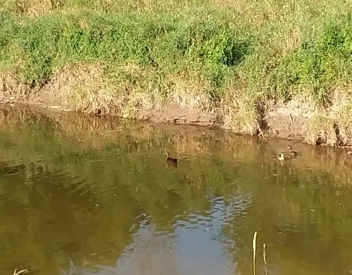 Blue Water Campground LLC Picture 6