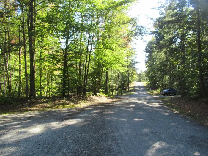 Cassidy Hills RV Park Picture 4
