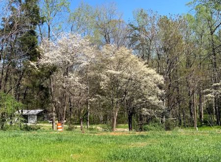 Wishing Well RV Park