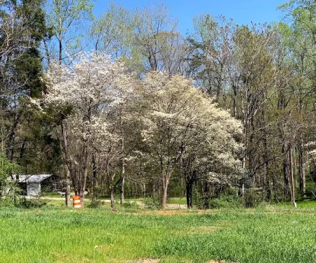 Wishing Well RV Park
