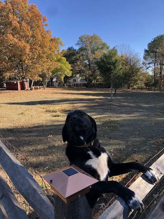 Tall Oaks Farm & Campground, LLC Picture 2