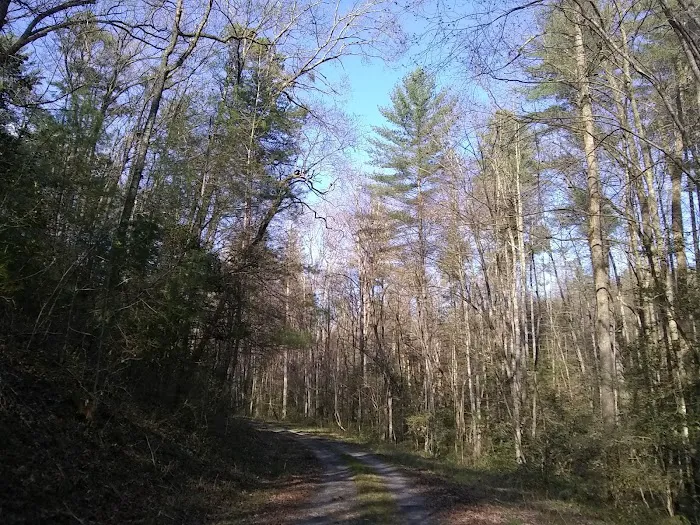 NFS Campsites Picture 2