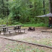 NFS Campsites ico