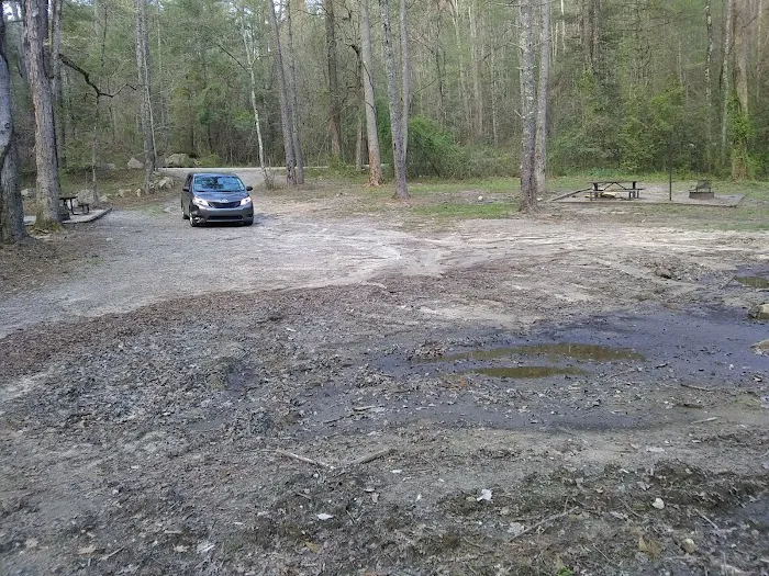 NFS Campsites Picture 8