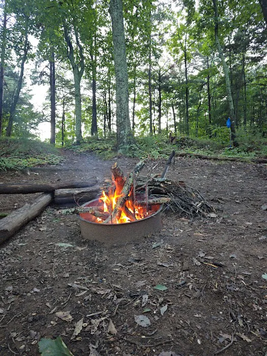 Little River Backcountry Campground Picture 3