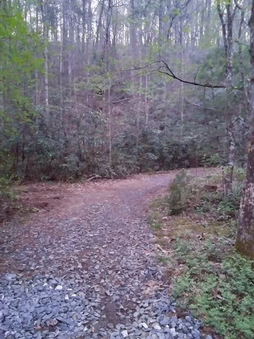 Long Branch Mobile Home Park Picture 2
