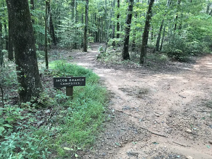 Jacob Branch Backcountry Campground Picture 1