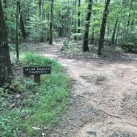 Jacob Branch Backcountry Campground ico