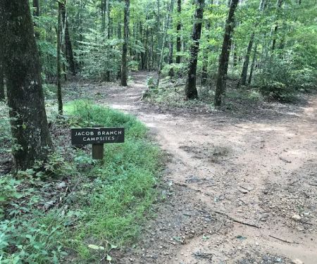 Jacob Branch Backcountry Campground