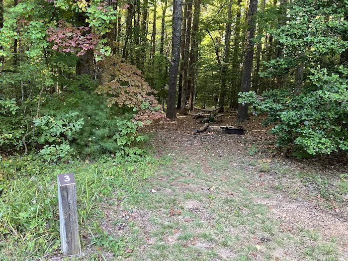 Jacob Branch Backcountry Campground Picture 2