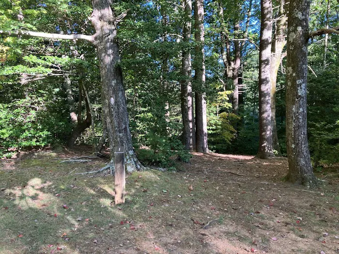 Jacob Branch Backcountry Campground Picture 3