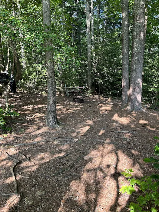 Jacob Branch Backcountry Campground Picture 4