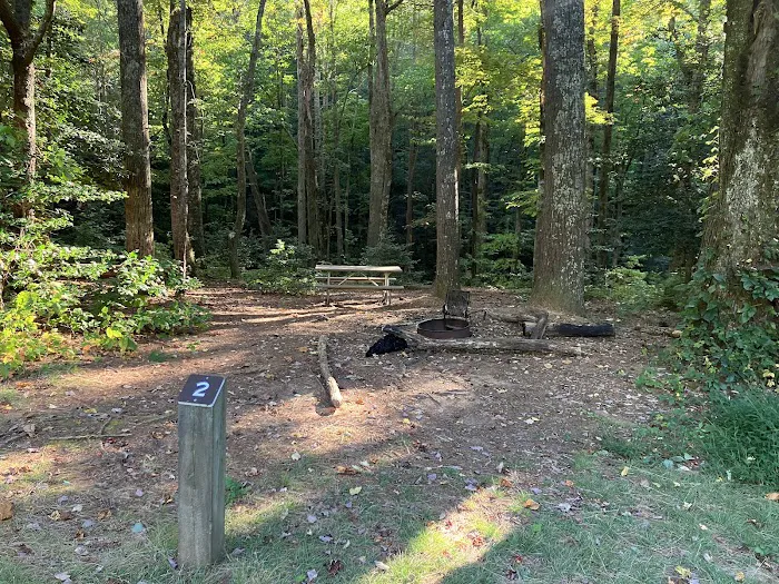 Jacob Branch Backcountry Campground Picture 5