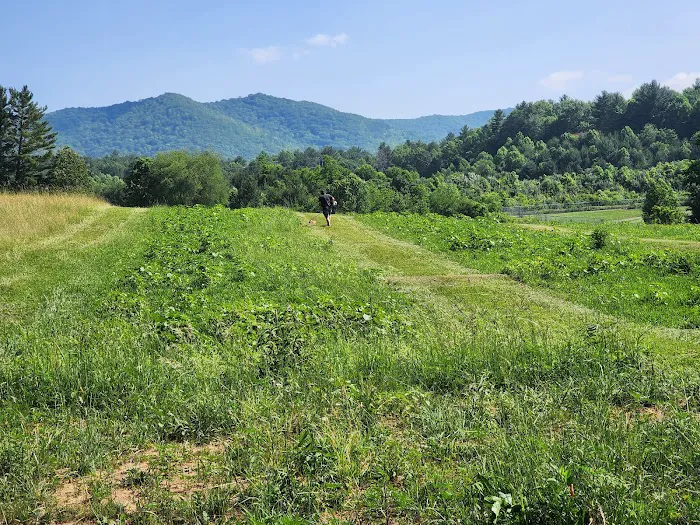 Doe Valley Campground Picture 8