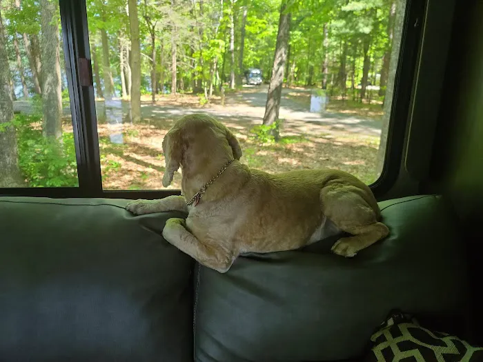 Little Oak Campground Picture 1