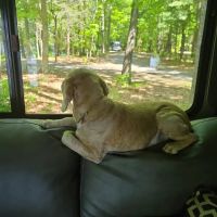 Little Oak Campground ico