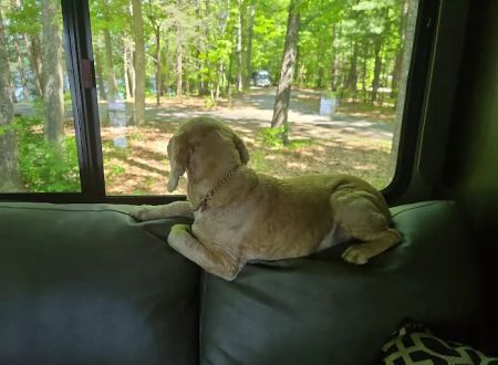 Little Oak Campground