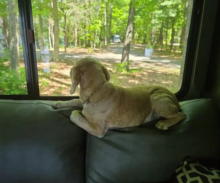 Little Oak Campground