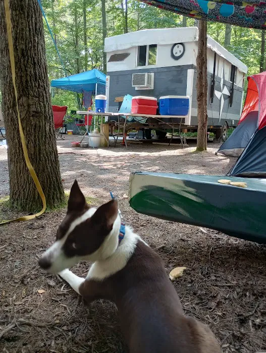 Little Oak Campground Picture 10