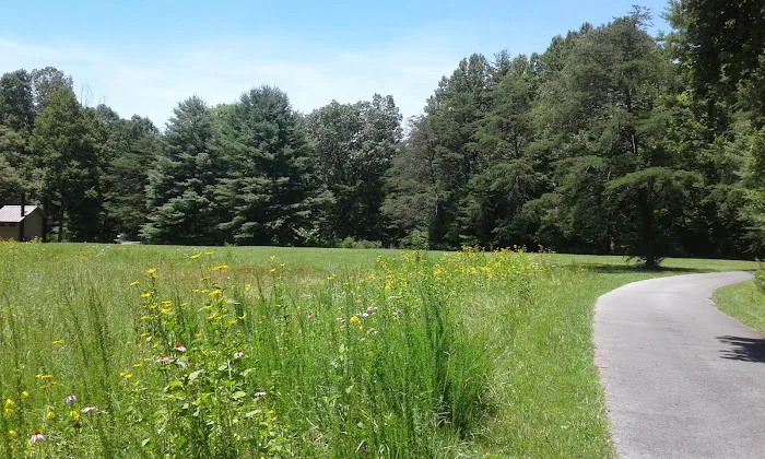 Little Oak Campground Picture 9