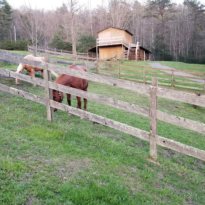 Cherokee Trails Campground & Stables Picture 8