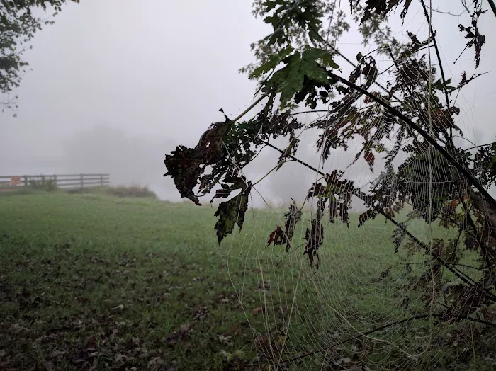 Pursuit Farms Picture 2