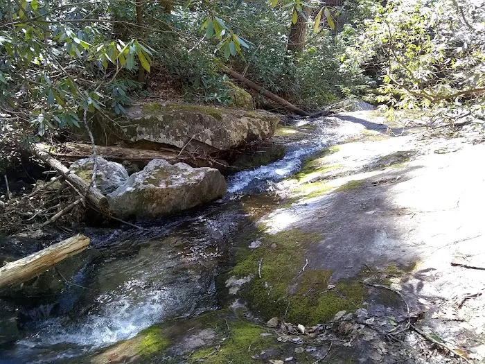 Mortimer Campground Picture 4