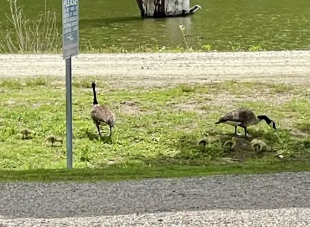 Bayview Family Campground and Marina