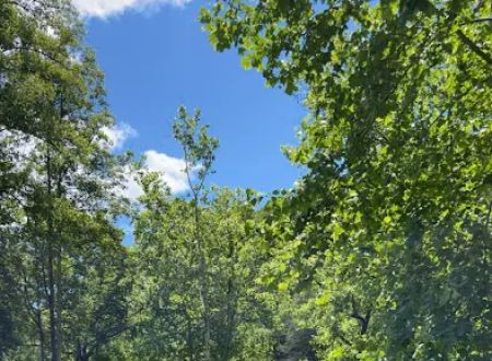 Thunder River Campground