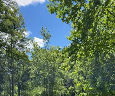 Thunder River Campground