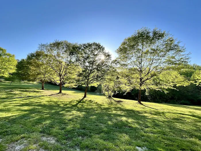 Ivy Acres Picture 3