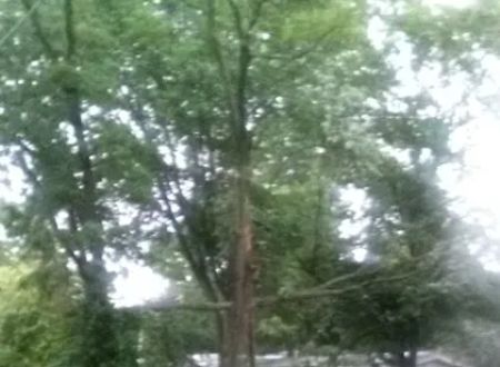 Spring City RV & Mobile Home Prk