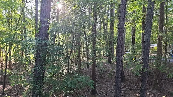Poplar Point Loop G Picture 4