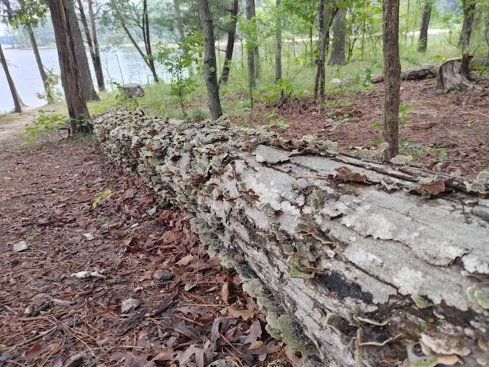Poplar Point Loop G Picture 6