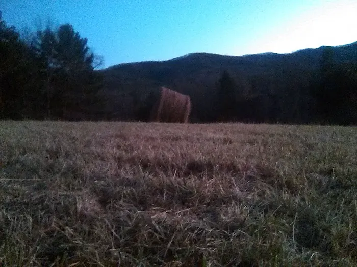 Doe Park Picture 10