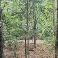 Poplar Point Loop H ico