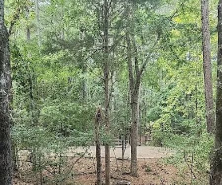 Poplar Point Loop H