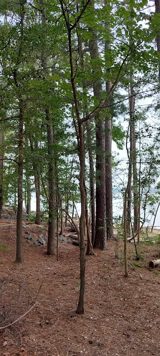 Poplar Point Loop H Picture 7