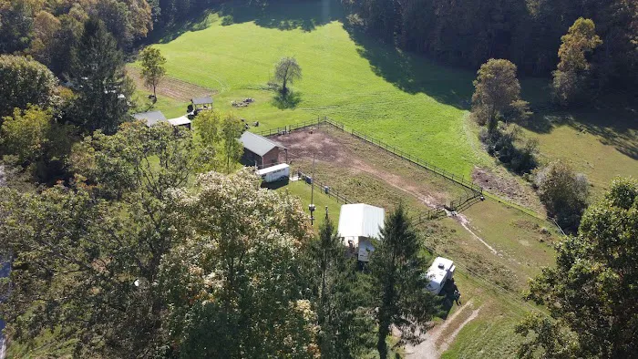 Pisgah View RV Park Picture 4