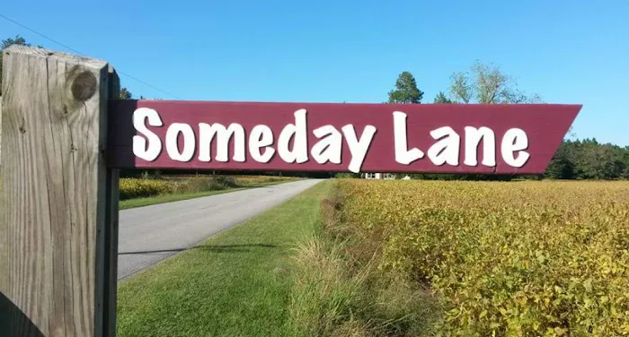 Someday Lane Picture 2
