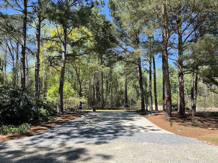 Cedar Creek Campground at Elease Picture 3