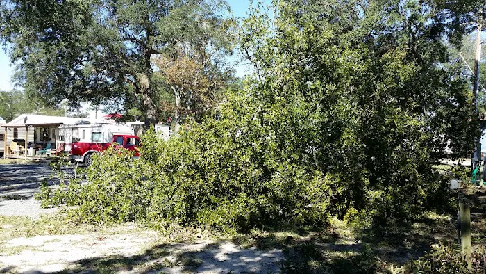 Green Oaks Campground Picture 9