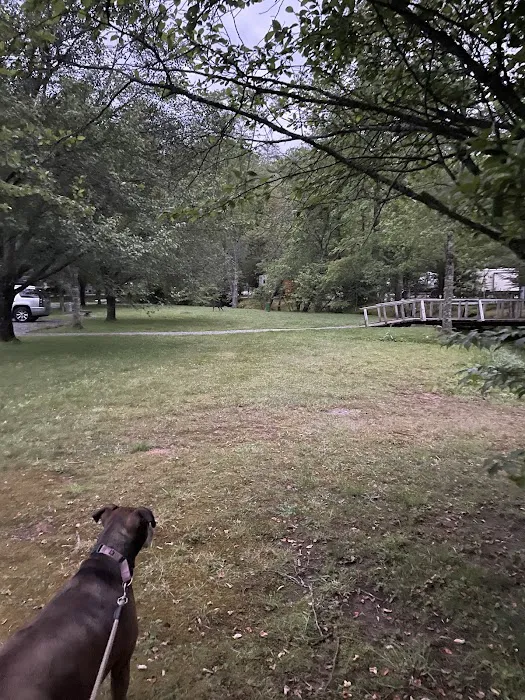 Blue Ridge Falls Rv Resort (Formerly Riverbend RV Resort Picture 4