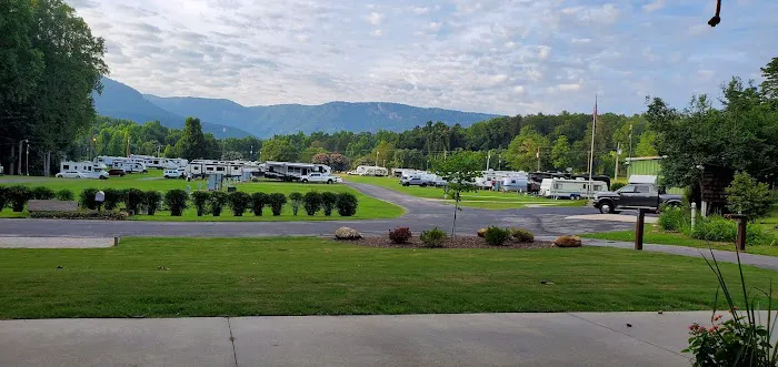 Palmetto Cove Inc RV Park Picture 3