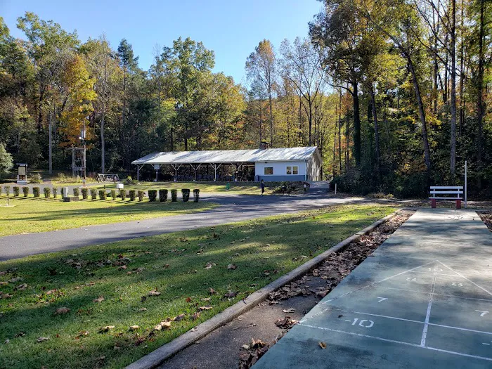 Palmetto Cove Inc RV Park Picture 6