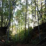 Eastatoee River RV Park