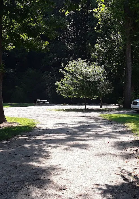Eastatoee River RV Park Picture 10